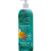 Bio Seasons - Gel douche Extra Doux à la mangue - (Pompe 1L)