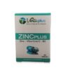 VERTUPLUS ZINCPLUS 60 Gélules